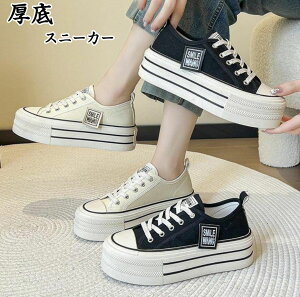 Xj[J[ fB[X Xj[J[ JWA C V[Y LoX [Jbg tďH ʋ ʊw EH[LOV[Y oRC x[VbNXj[J[ R gbLOV[Y 