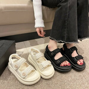 X|[cT_  fB[X ₷ T_ C RtH[g T_  y T_ ɂȂ r[`T_ C xN Xj[J[ X|[c T_ A