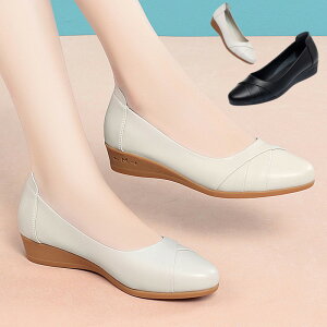 pvX fB[X [q[ ₷ C ؂񂱃V[Y ɂȂ _炩  |CebhgD ʋΒʊw 22.5 26 ItBX wlC ꂢ TCY 傫TCY EFbW