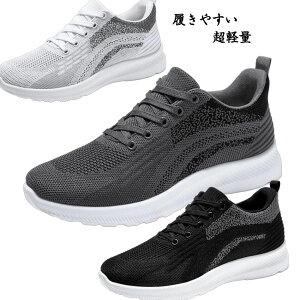 Xj[J[ Y Xj[J[ V[Y EH[LOV[Y jOV[Y  y ʋC C Xb|   Xj[J[ ꂢ X|[cV[Y ɂ ₷ ^