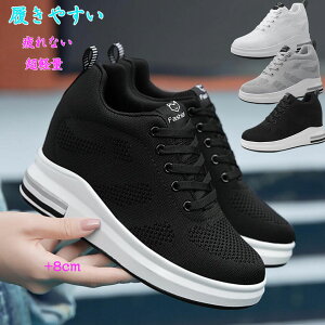  Xj[J[ fB[X Xj[J[ Cq[Xj[J[ r r  Xj[J[ X^CAbv y nCJbg EH[LOV[Y V[Y ꂢ C 