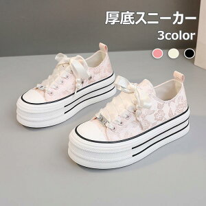 Xj[J[ 4.5cm p[ fB[X JWA WjA LoX [Jbg tďH R[gV[Y ʋC Vv x[VbNXj[J[ R ؂ tbgV[Y 傫