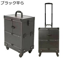 楽天市場】メイクボックス キャリーの通販