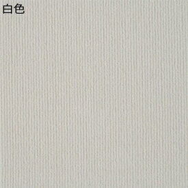 タイルカーペット カーペットタイル 吸着 ジョイントマット 50*50cm diy 10枚 厚さ4mm 絨毯 ずれない 滑らない 置くだけ フローリング使用 業務用 家庭用 オフィス用 吸着マット 防音マット