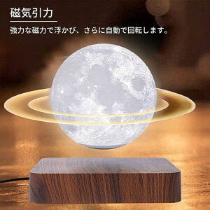  Cg [Cg iCgCg oCg t[g ^Ɩ ԐڏƖ iCgv  Ɩ CeA rO a14cm