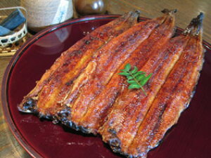 yzu񂽂낤ϔEtvYVE֐YĂEĂ5lO