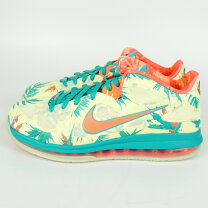 楽天市場】nike lebron 9 LOW（靴）の通販
