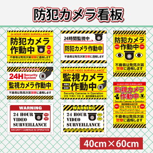 �h�ƃJ���� ��40cm �c60cm �v���[�g �Ŕ� �h�ƃJ�����쓮�� �h�Ƒ΍� �Z�L�����e�B�T�C�� �Ď��J���� WARNING ���O �����f�U�C��