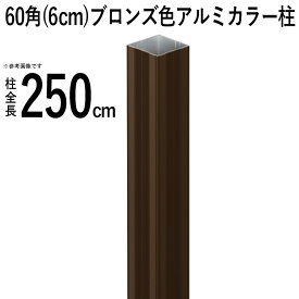 竹垣 フェンス 柱 アルミ 支柱 竹垣用 DIY 【60角(6cm)】【全長250cm】【ブロンズ角】 庭園 庭 目隠し フェンス 垣根 和風 空間 坪庭 日本庭園 和風空間 屋外 外構 エクステリア おしゃれ ガーデニング 人工竹垣 【送料無料】