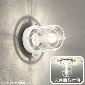 y11/25P5{z}v ֏Ɩ O  Ɩ O Ɩ փCg dC LED Ǌ| Cg  O  }Cg ZT[Ȃ D Ɩ } Cg C z