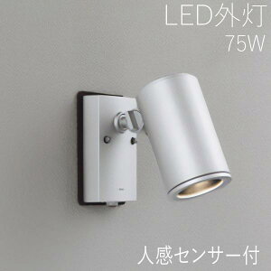 X|bgCg lZT[t Cg K[f Ɩ K[f Cg LED O Ɩ O X|bgCg ZT[t  X^CbV GNXeA Av[` O\ O h 