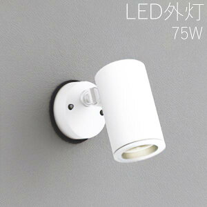 X|bgCg ZT[Ȃ Cg K[f Ɩ K[f Cg LED O Ɩ O X|bgCg ZT[  X^CbV GNXeA Av[` O\ O h hJ h