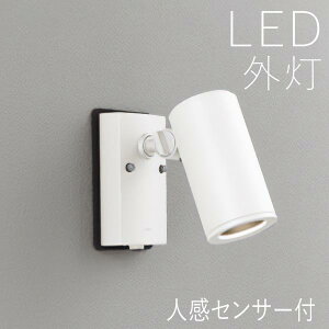 X|bgCg lZT[t Cg K[f Ɩ K[f Cg LED O Ɩ O X|bgCg ZT[t  X^CbV GNXeA Av[` O\ O h 