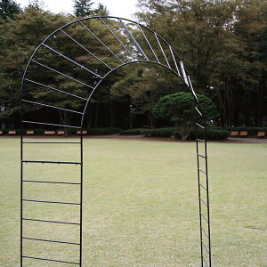 yyP2{+撅ő1,000~OFFzK[fA[` o A[` K[fA[` [YA[` oA[` t[ A[` ACA A[` KN A[` p[S 뉀 ؉ | Ԓd U 