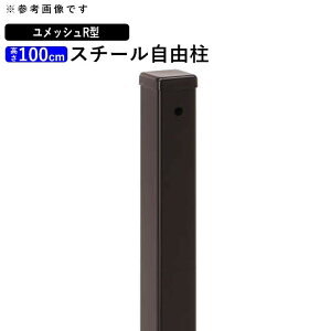 y11/5P2{+撅ő1,000~OFFztFX bVtFXIvV OA~ DIY O\ EtFX bVtFX lbgtFX bV tFX ybVzyR^zyX