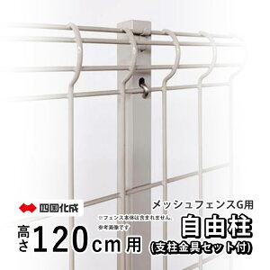 y10/30P2{+撅ő800~OFFztFX bVtFXG^p yRzy120cmpzyxZbgtzt[x ݒ DIY O\ EtFX bVtFX lbgtF