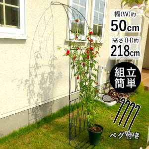 y3AxP2{zA[` K[f  K[fA[` A[` n[t t[A[` ACA  n[tA[` Ǌ| [YtFX DIY | [YA[` o o KN [