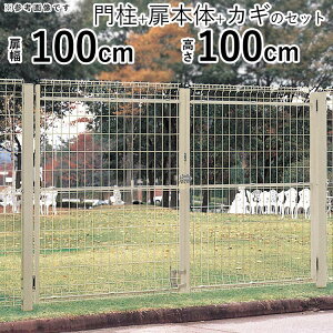 y10/30P2{+撅ő800~OFFz  J O X`[ bV  tFX bV lbg  lbg Q[g O  K[f  O O\  hA  100cm ×2 