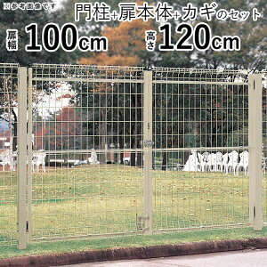y10/15P2{+撅ő700~OFFz  J O X`[ bV  tFX bV lbg  lbg Q[g O  K[f  O O\  hA  100cm ×2 