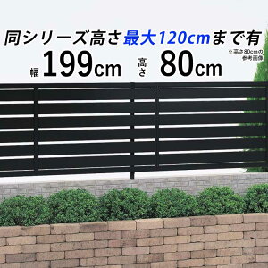 y9/30܂Ō艿izA~ tFX O\ tFX ډB O ډBtFX {[_[ tFX ډB DIY EtFX  d؂ t Jbg vCoV[ y T80 H800  80cm 
