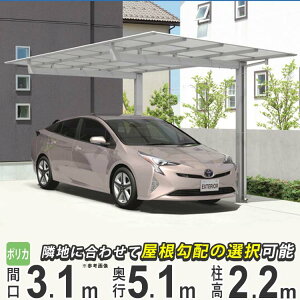 y3AxP2{+撅ő1,000~OFFzJ[|[g 1p ԏ  Ԍ K[W t DIY J   O O\ 51-31 OA~ j[}CbV s5071mm Ԍ3125mm 2200mm |J[