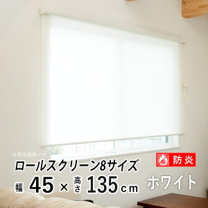 ロールスクリーン ロールカーテン カバー付き 日よけ シェード ブラインド 非遮光 無地 北欧 おしゃれ インテリア シンプル 部屋 目隠し 小窓 通気 寝室 リビング 西日対策 エクシブ 新生活