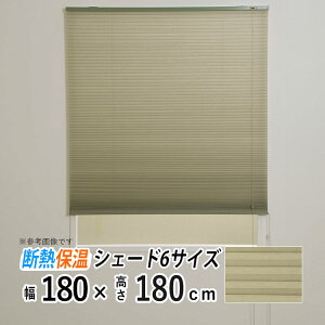 njJXN[ njJVF[h njJ VF[h v[cXN[ uCh w\ ȃGl fM ۉ  ډB  J[e[t  ʋC Q r