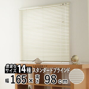 uCh A~uCh ^ A~ uCh uChJ[e ̌ 悯  CeA  ډB J[e[t H 25 mm  ʋC Q rO yA