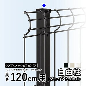 y11/5P2{+撅ő1,000~OFFztFX VvbVtFX4p yRzy120cmpz t[x ݒ T120 O\ O DIY EtFX bVtFX lbgtFX b