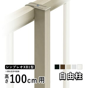 yyP2{+撅ő1,000~OFFztFX  x R t[x IvV DIY O\ YKK VvIډBtFX VvItFX XB1^p ډBtFX i ށy  100cm 