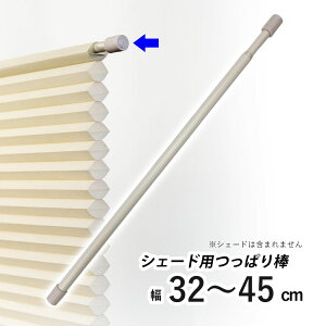 njJVF[hp ς_ njJXN[pIvV ˂_ cbp_ ς |[ njJVF[h |[̂ y t[JbgnjJpς_ zC