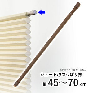 njJVF[hp ς_ njJXN[pIvV ˂_ cbp_ ς |[ njJVF[h |[̂ y t[JbgnjJpς_ uE