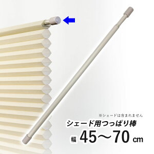 njJVF[hp ς_ njJXN[pIvV ˂_ cbp_ ς |[ njJVF[h |[̂ y t[JbgnjJpς_ zC