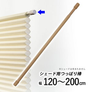 njJVF[hp ς_ njJXN[pIvV ˂_ cbp_ ς |[ njJVF[h |[̂ y t[JbgnjJpς_ ~fB