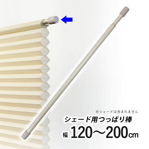 njJVF[hp ς_ njJXN[pIvV ˂_ cbp_ ς |[ njJVF[h |[̂ y t[JbgnjJpς_ zC