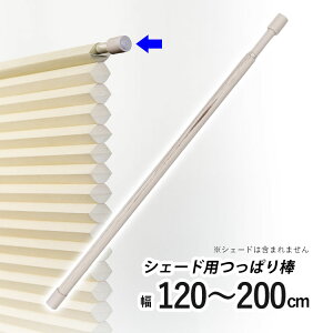 njJVF[hp ς_ njJXN[pIvV ˂_ cbp_ ς |[ njJVF[h |[̂ y t[JbgnjJpς_ zC