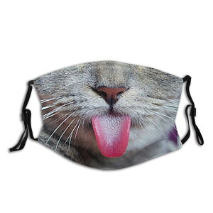 ʔ}XN nEB  Aj}tFCX}XN Aj} vg 􂦂z ϑ L    p[eB[ObY VѐS ϊ }X RX`[