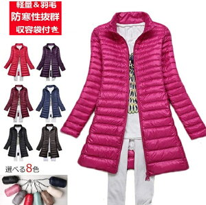 _ExXg fB[X n O  y t[hȂ  |Pbgt  h אg y h ۉ