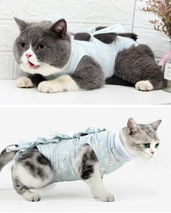 p㕞 ybgLppEFA ̏ی rߖh~ GUxXJ[ɑ Dp 畆ی r ~h~ pp j̎q ̎q p 