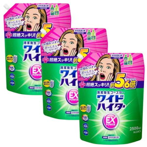 ChnC^[EXp[ ߗpY l֗p2500ml ×3 nC^[ Y ChnC^[  Zbg e