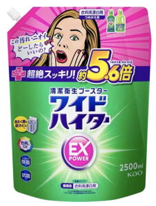 ChnC^[EXp[ ߗpY l֗p 2500ml nC^[ Y ChnC^[  e