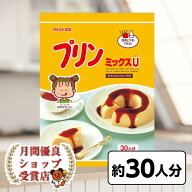 かんてんぱぱ 　プリンミックスU　30人分　540g　カラメルシロップ付 　賞味期限2027年6月