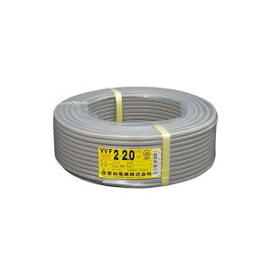  md VVF d P[u 2.0-2c 2×2.0mm LFV :100m kCAAs