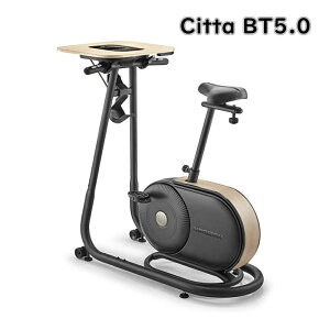 yzyt@[rbVi/gρz W\ zCY AbvCgoCN Citta BT5.0 r[eB[5.0 ƒp kC  s