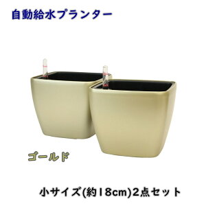 �y���������z�v�����^�[ ���T�C�Y2�_�Z�b�g �S�[���h 18cm �����` HG3109 �������� �y�� �t�����[�|�b�g �ϗt�A�� �� RF2B