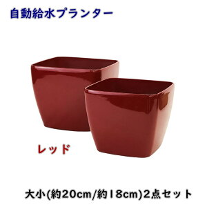 �y���������z�v�����^�[ �召2�_�Z�b�g �� 18cm 20cm �����` HG3109 HG3110 �������� �y�� �t�����[�|�b�g �ϗt�A�� �� RF2B
