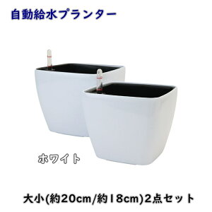 �y���������z�v�����^�[ �召2�_�Z�b�g �� 18cm 20cm �����` HG3109 HG3110 �������� �y�� �t�����[�|�b�g �ϗt�A�� �� RF2B