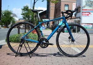 FELT tFg 2023 VR40 [ANAtbV]