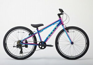MARIN �}���� 2025 DONKY Jr 24 LIMITED COLOR �h���L�[ �W���j�A 24 ���~�e�b�h �J���[ [�O���X�M�����N�V�[�E�O���X�T���Z�b�g�E�O���X�X�y�[�X�E�O���X�V�A��/�C�G���[/�u���b�N�E�O���X�I�[����]