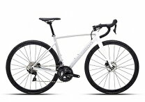 楽天市場】ポリゴンロードバイクの通販
